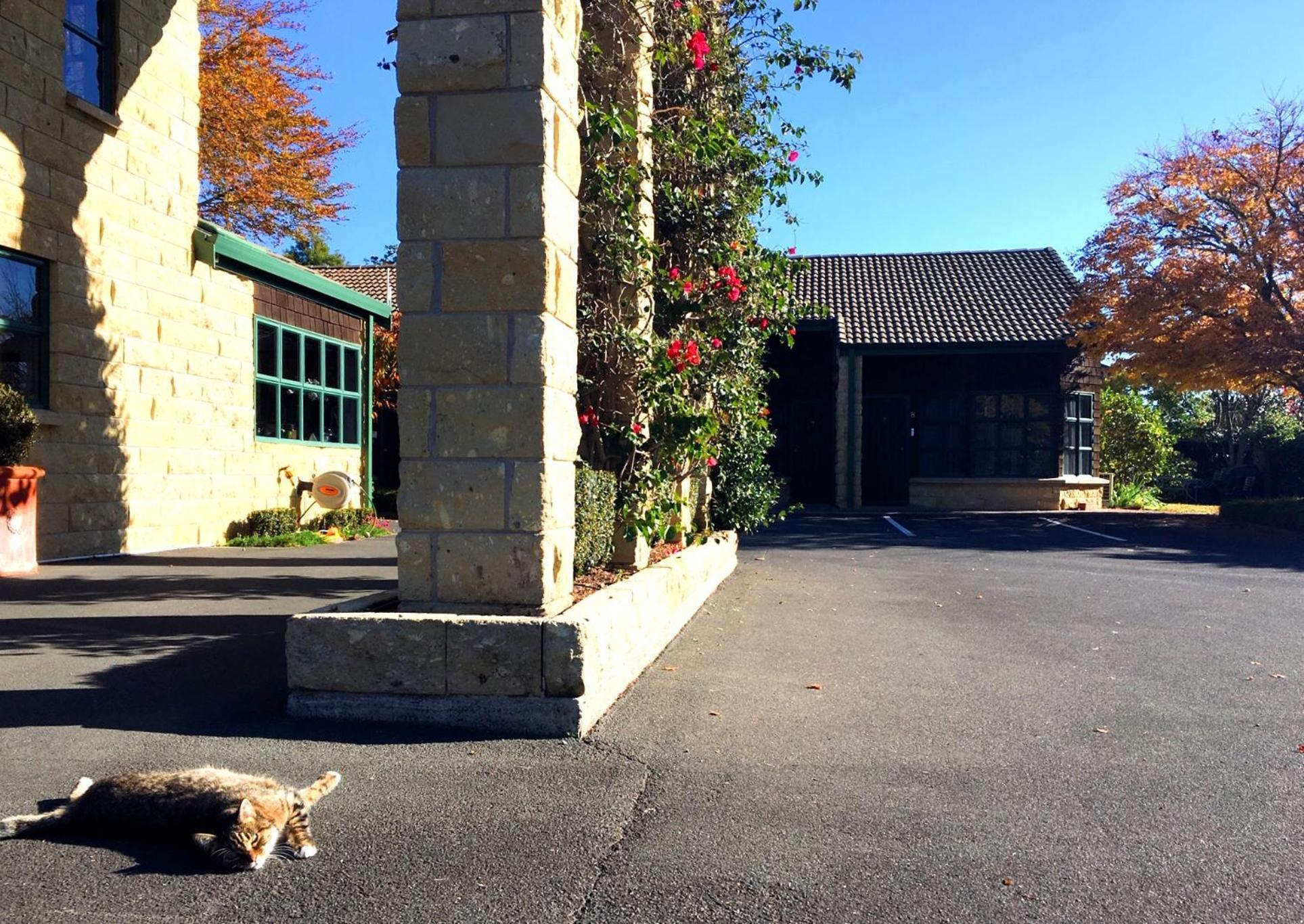 Cambridge Mews Motel Bagian luar foto